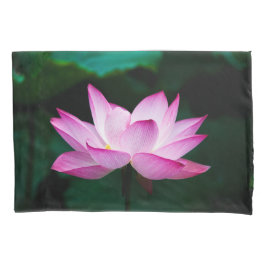 Flor de Lotus Rosa