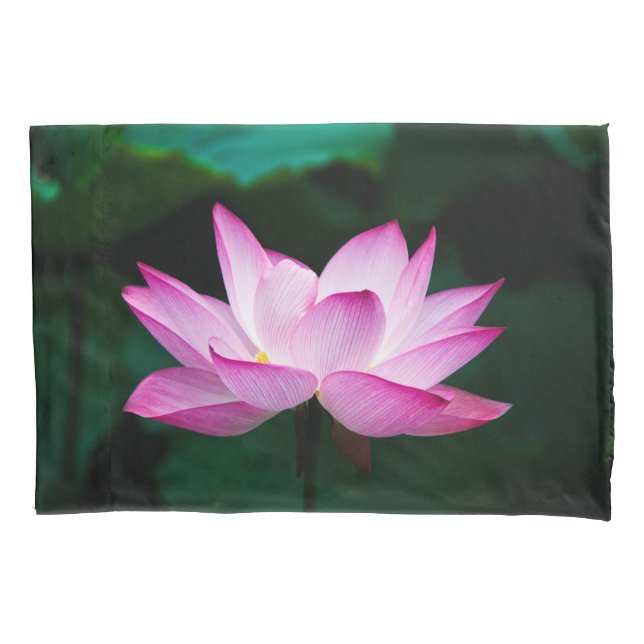 Flor de Lotus Rosa (Frente)