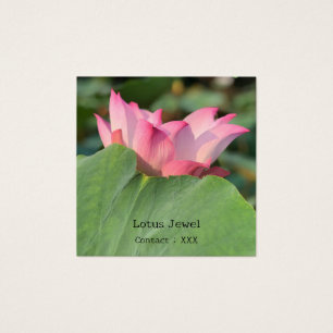 Flor de Lotus Rosa