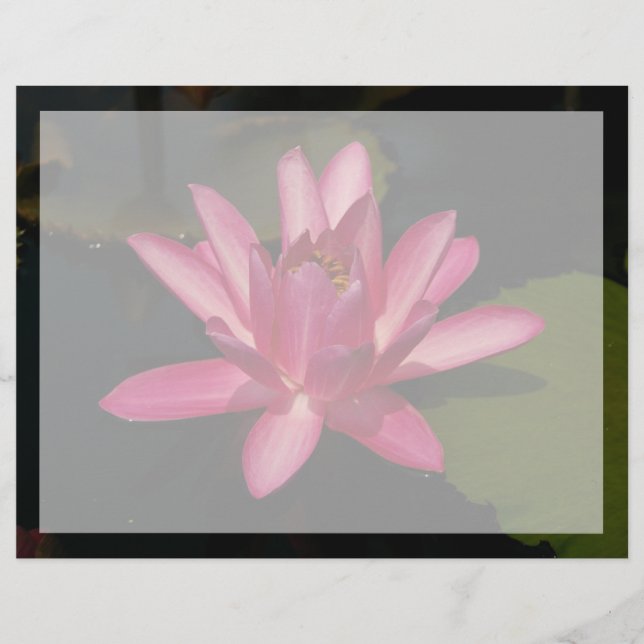 Flor de Lótus Rosa (Frente)