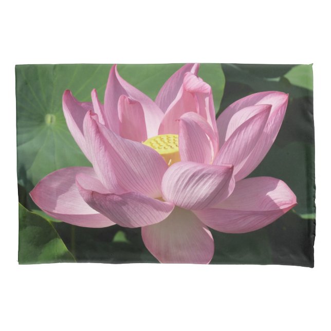 Flor de Lotus Rosa IV (Frente)