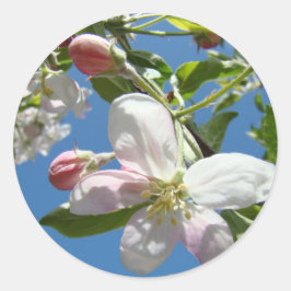 FLOR DE MAÇÃ ADESIVOS FOLHAS DE ADESIVOS Presentes