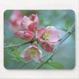 Flor de Maçã #P0356 Mousepad