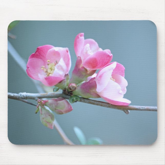 Flor de Maçã #P0358 Mousepad (Frente)