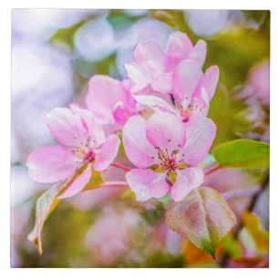 Flor de Maçã Rosa