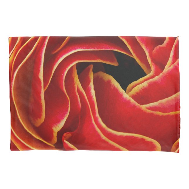 Flor de Macro| Flower Fields Carlsbad, CA (Frente-Esquerda)