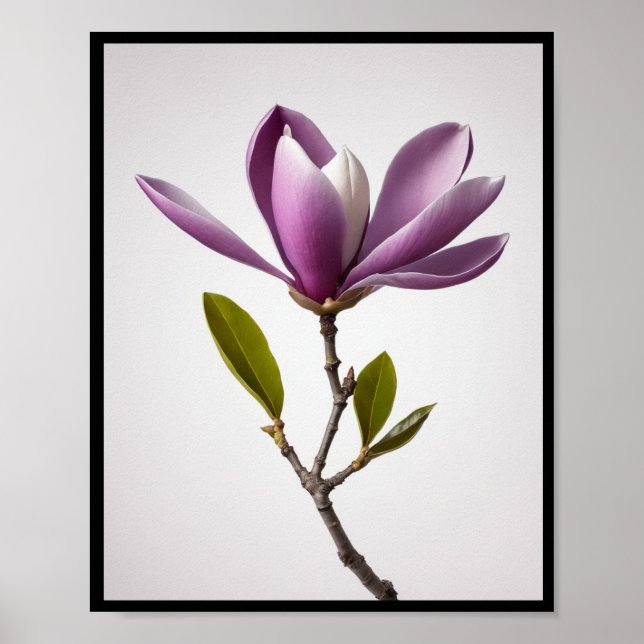 Flor de magnólia roxa, Magnolia felix Wall Poster (Frente)