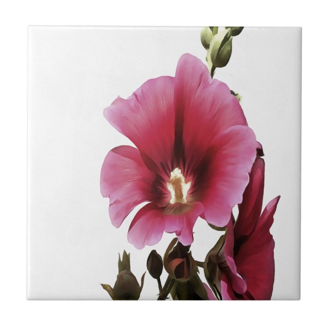 Flor de Malva Hollyhock, Rosa Pesada (Frente)