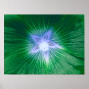 Flor de Malva Rosa Impressão Verde Magnífica