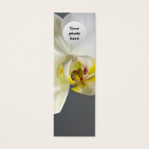 Flor de Orquídea Branca