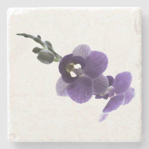 Flor de orquídea roxa, Porta copos de pedra