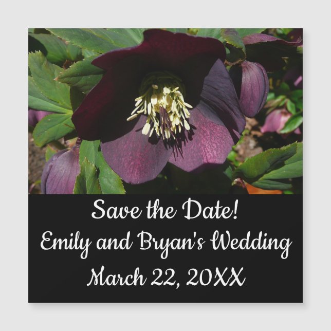 Flor de Páscoa de Rosa com lente roxa (Frente)