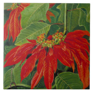 Flor de Pascua ou Flor de Páscoa, pintura famosa,