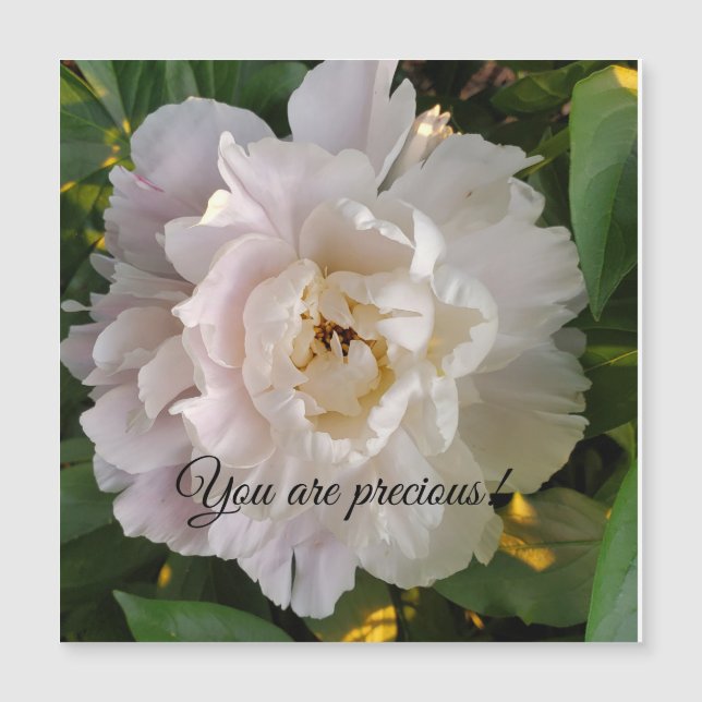 flor de peônia (Frente)