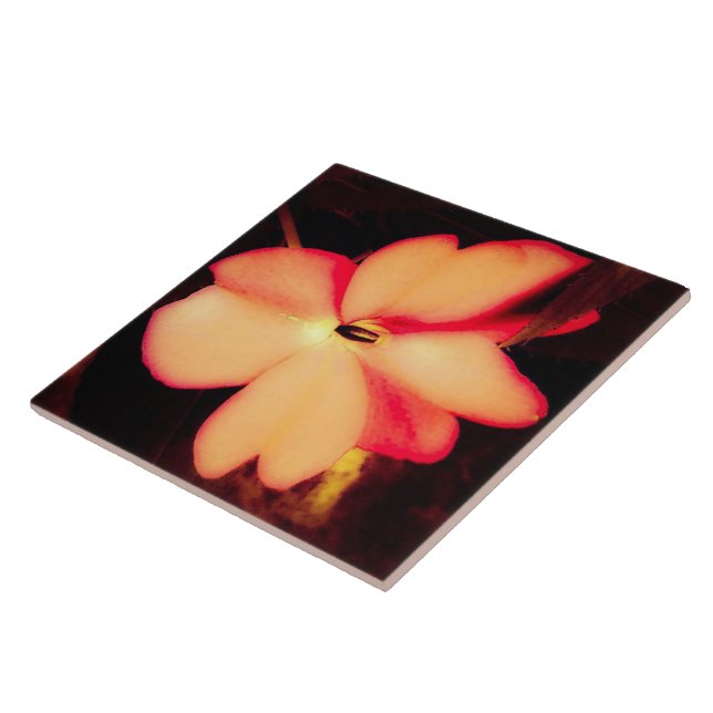 Flor de Pêssego em Closeup (Lateral)