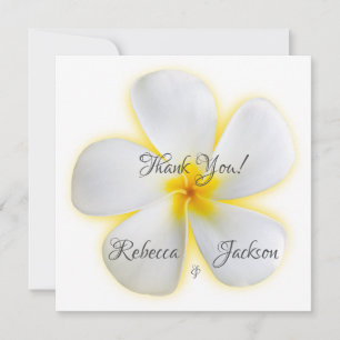 Flor de Plumeria Branca, Amarelo, Casamento, Obrig