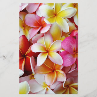 Flor de Plumeria Misturada, Amarela Cor-de-rosa