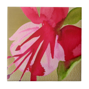 Flor de pop de cor da água rosa Fuchsia