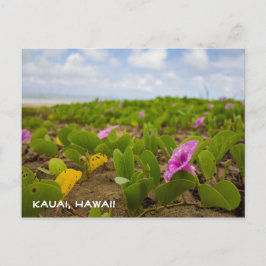 Flor de Praia Tropical do Havaí | Cartão Postal de