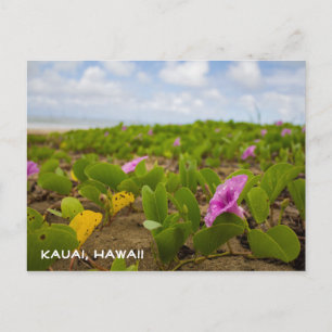 Flor de Praia Tropical do Havaí Cartão Postal de