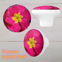Flor de Primavera Rosa e Amarelo Brilhante