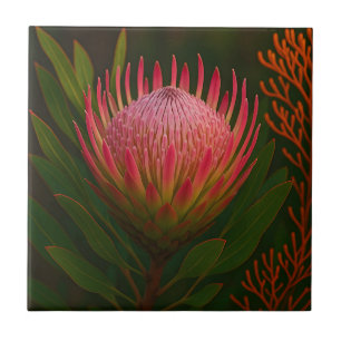 Flor de Protea Rosa Exótica em Flor