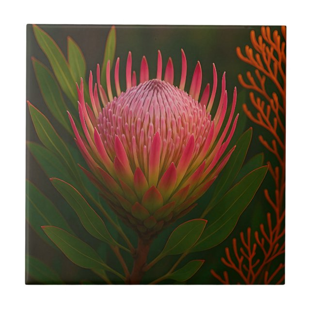 Flor de Protea Rosa Exótica em Flor (Frente)