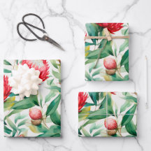 Flor de Proteína Nativa Australiana