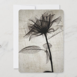 Flor de raios X grande Vintage