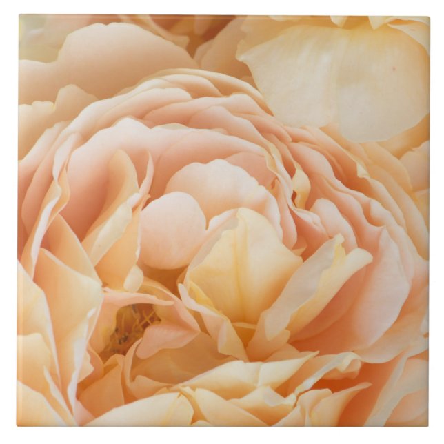 Flor de rosa amarela (Frente)