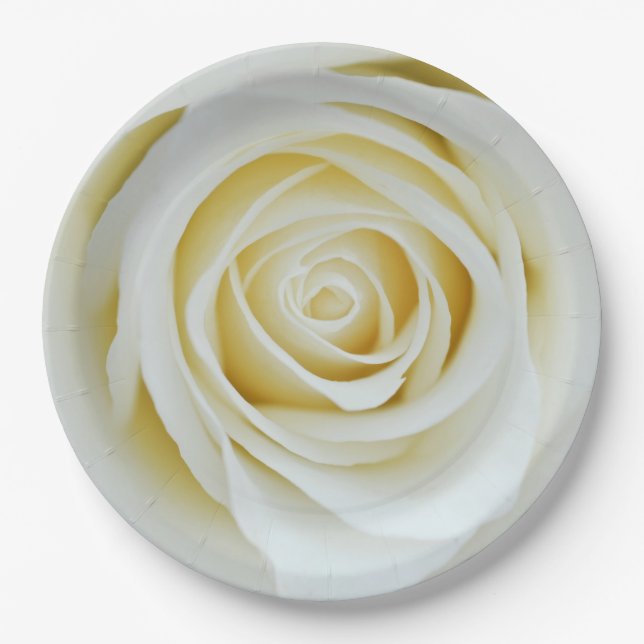 Flor de rosa branca Prato de papel (Frente)