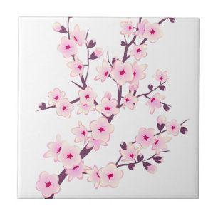 Flor de Rosa Cerejeiras Rosa Branco