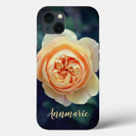 Flor de Rosa do Peachy Orange Garden Personalizada