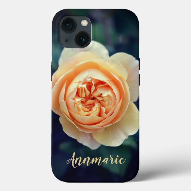 Flor de Rosa do Peachy Orange Garden Personalizada (Verso)
