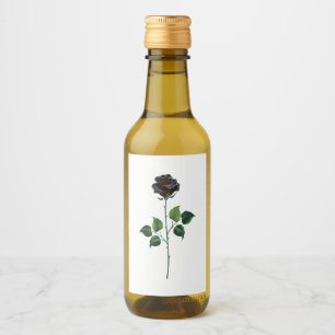Flor de rosa preta