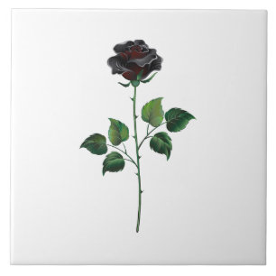Flor de rosa preta