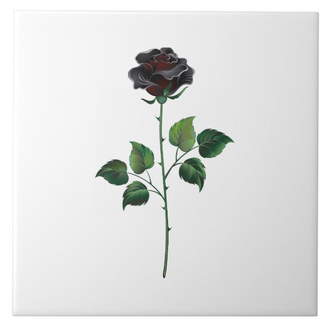 Flor de rosa preta (Frente)