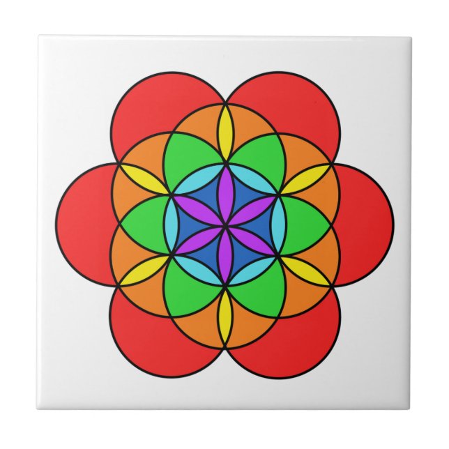 Flor de sete Chakra da vida (Frente)