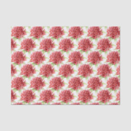 Flor de waratah aquarela vermelha papel de seda bo