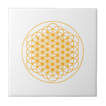 FLOR DO AZULEJO DA VIDA PELO DMT