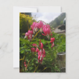 flor do coração sangrando