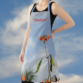 Flor do Flamboyant Poinciana Real Azul Céu