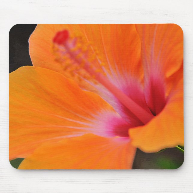 Flor do hibiscus de Havaí Mousepad (Frente)