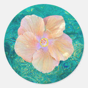 Flor do hibiscus na etiqueta da água de turquesa