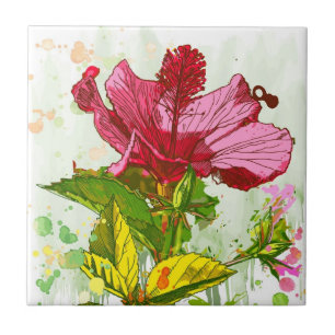 Flor do hibiscus - pintura da aguarela