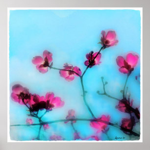 Flor do primavera, poster