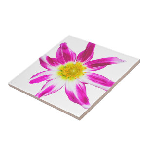 FLOR DO solteiro EM MAGENTA, BRANCO E DOURADO (FOT