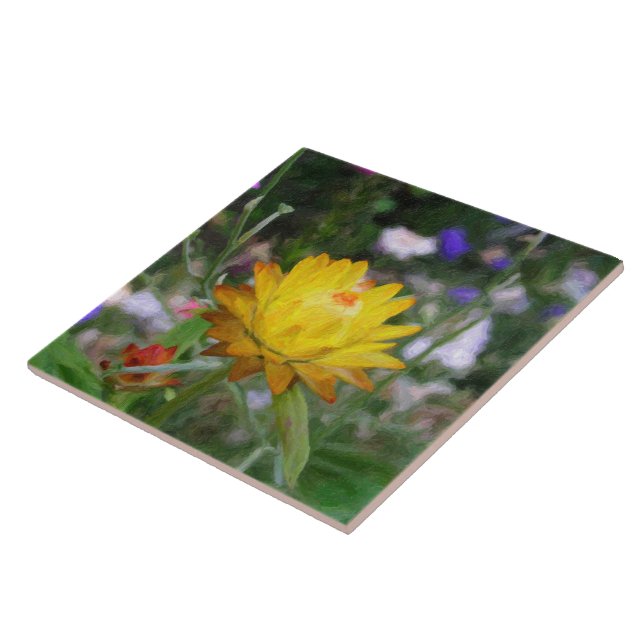 Flor Everduradouro (Lateral)