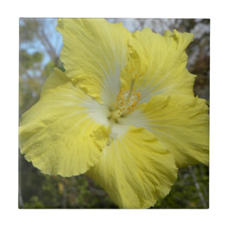 Flor floral de Havaí do azulejo amarelo tropical