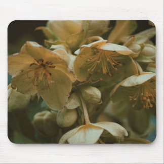 Flor floral Mousepad